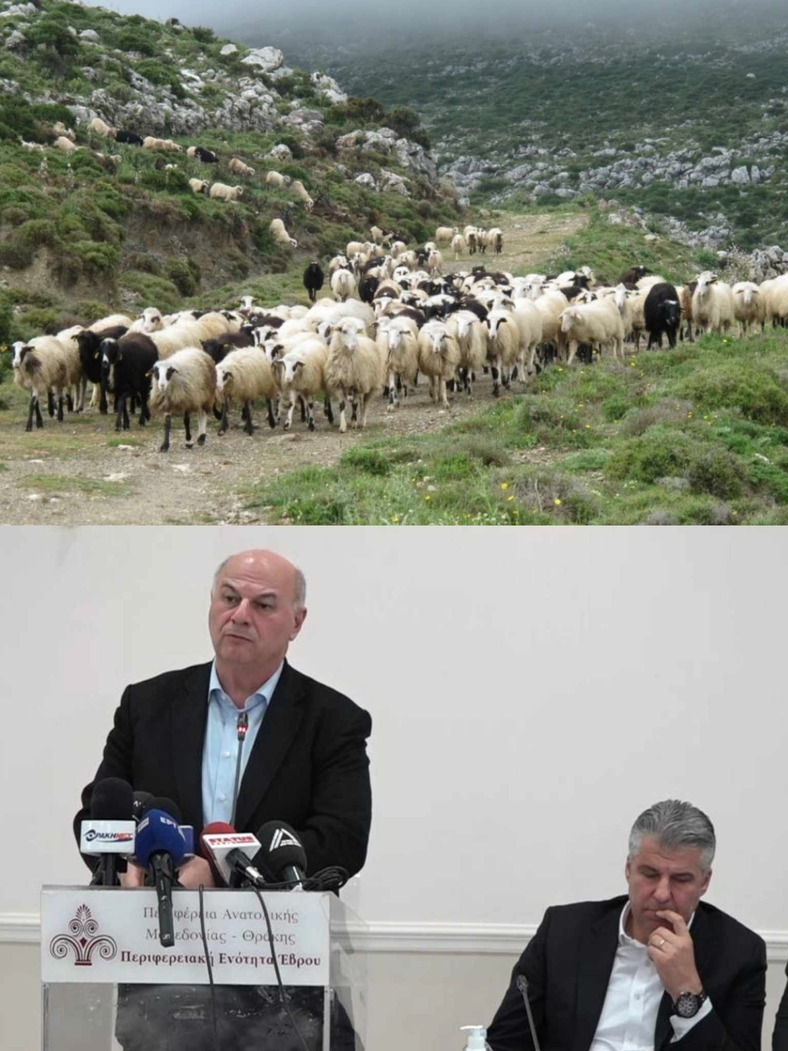 Σκληρή ανακοίνωση των Κτηνοτροφικών Συλλόγων της ΠΑΜΘ που μιλούν για αποκλεισμό τους από την επίσκεψη Τσιάρα στον Έβρο