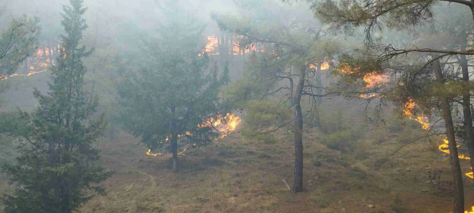 Πως η Πανεπιστημιακή Κοινότητα με τις κατάλληλες συνεργασίες μπορεί να ενισχύσει την κλιματική ανθεκτικότητα απέναντι στις φυσικές καταστροφές