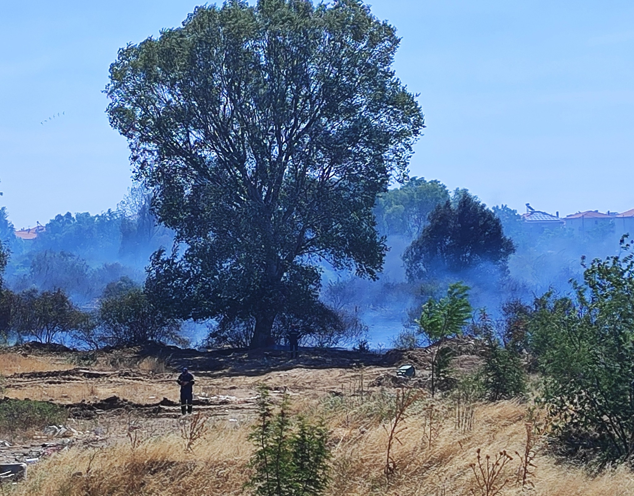Φωτιά στην Κομοτηνή -Μάχη με επίγειες και εναέριες δυνάμεις -Εκκενώθηκε ο Ήφαιστος (φωτο web tv)