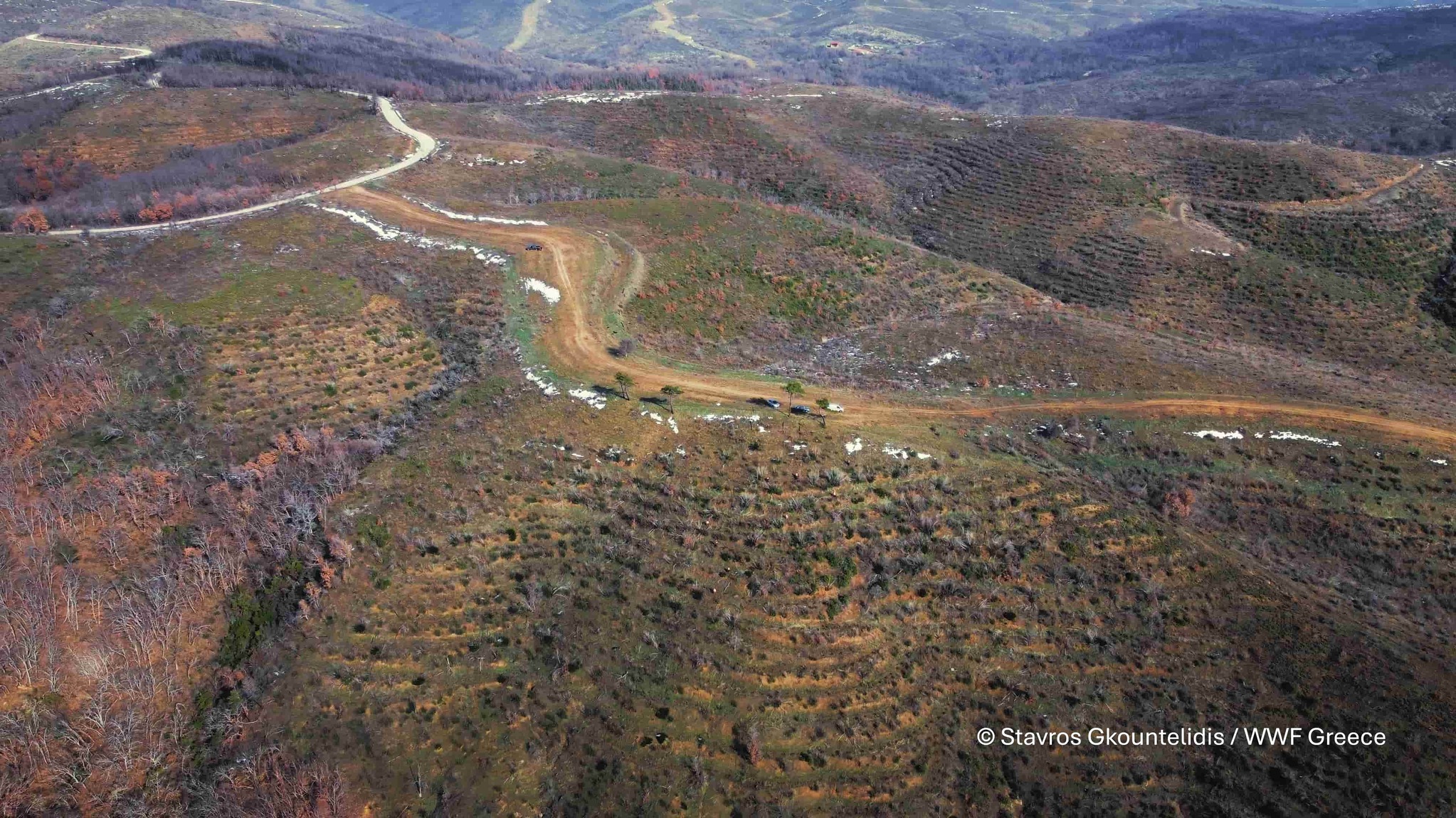Η Αποκεντρωμένη Διοίκηση Μακεδονίας – Θράκης βάζει φρένο στα αιολικά εντός καμένης έκτασης-Απορρίφθηκαν 11 αιτήσεις αιολικών σταθμών στην καμένη περιοχή του Έβρου και στις γειτονικές άκαυτες εκτάσεις